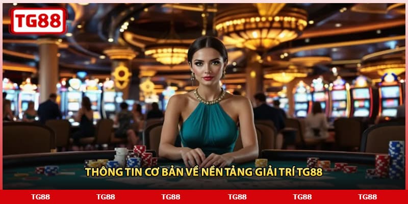 Thông tin cơ bản về nền tảng giải trí TG88