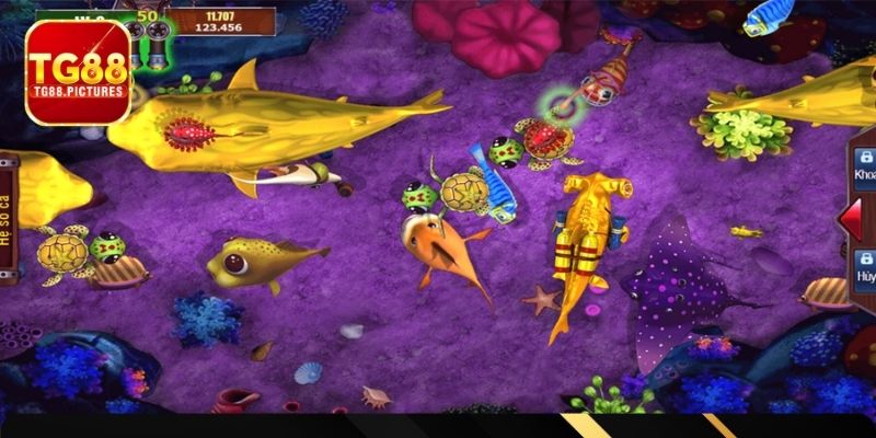 5 phút đầu game fishing có gì đặc biệt