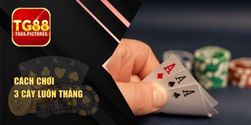 Cách Chơi 3 Cây Luôn Thắng – Newbie Cũng Có Thể Ăn Lớn