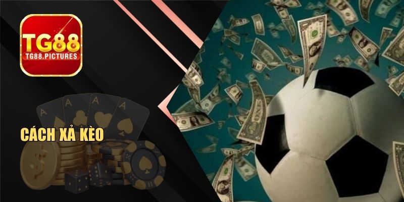 Cách Xả Kèo Hiệu Quả Giúp Bạn Giảm Rủi Ro Thua Lỗ