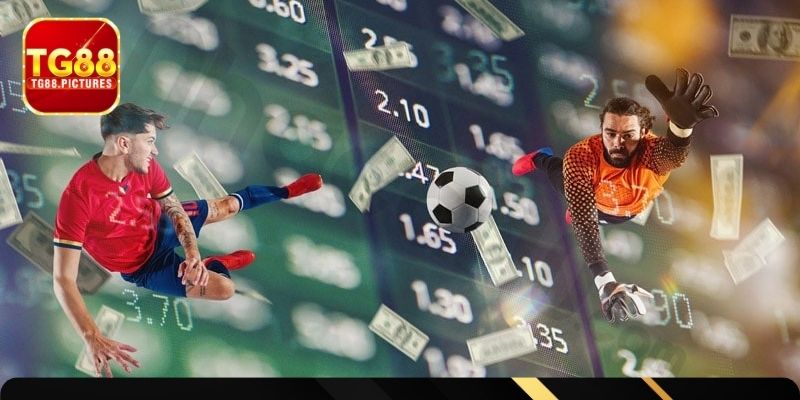 Cơ bản về sự khác biệt của Half time và Full time