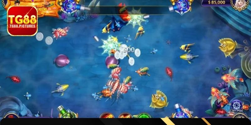 Tránh các sai lầm khi chơi đại chiến Thái Bình Dương