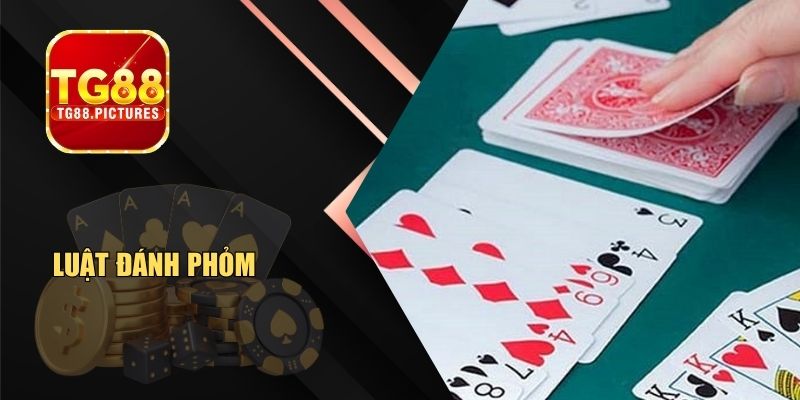 Luật Đánh Phỏm – Cẩm Nang Hướng Dẫn A Tới Z Cho Newbie