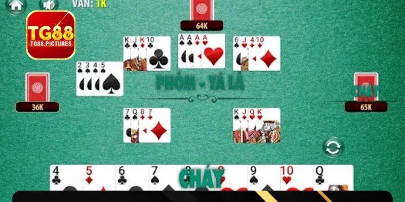 Luật đánh phỏm cơ bản cho người mới bắt đầu