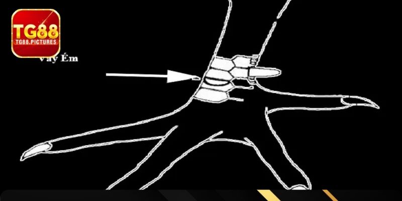 Ý nghĩa dự đoán sức mạnh nhờ xem vảy gà chọi xấu